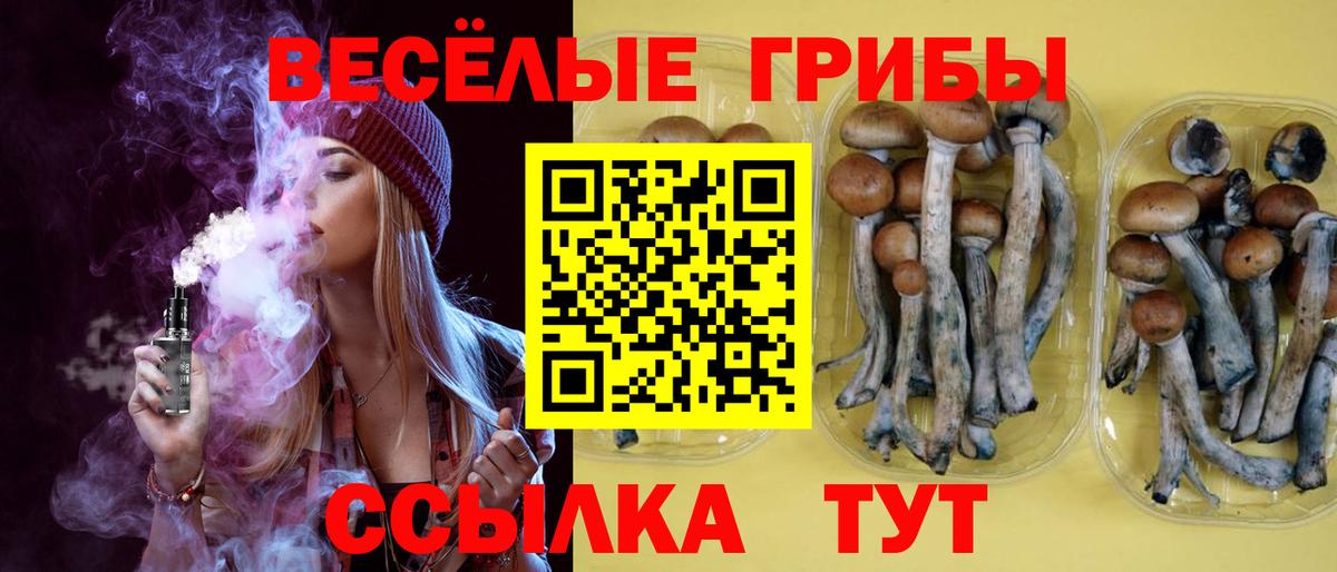 купить наркотик  Вход с VPN  Волгоград  Галлюциногенные грибы прущие грибы  Галлюциногенные грибы Magic Shrooms 